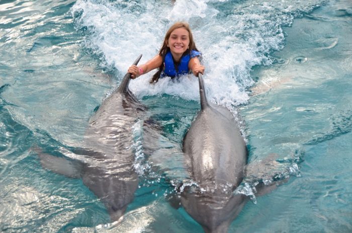 caribe-aruba-curacao-golfinhos-1