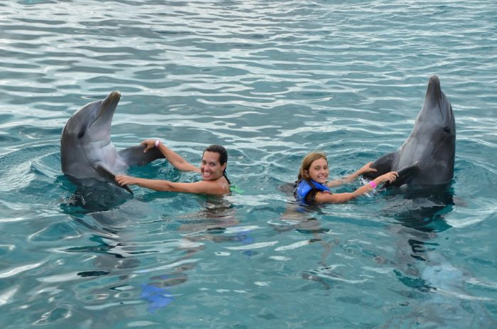 caribe-aruba-curacao-golfinhos-6